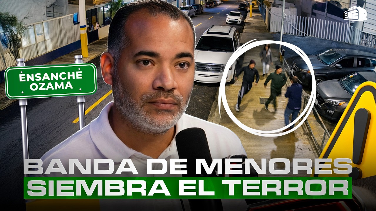 BRITO DESTAPA BANDA DE MENORES SIEMBRA EL TERROR EN ENSANCHE OZAMA