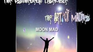 The Psychedelic Ensemble-Moon Mad.mov