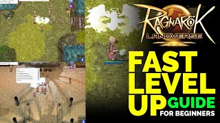 BEGINNERS GUIDE I FAST LEVEL UP  TIPS & TRICKS I RAGNAROK LANDVERSE