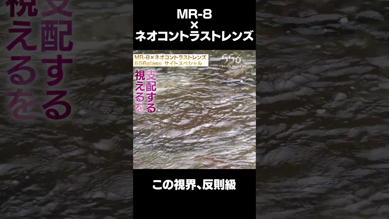 視界が変わると釣りはここまで変わる 556glass サイトスペシャル ネオコントラスト×MR-8 #shorts #556glass #関西釣りチャンネル #サイトスペシャル #鮎釣り #釣り