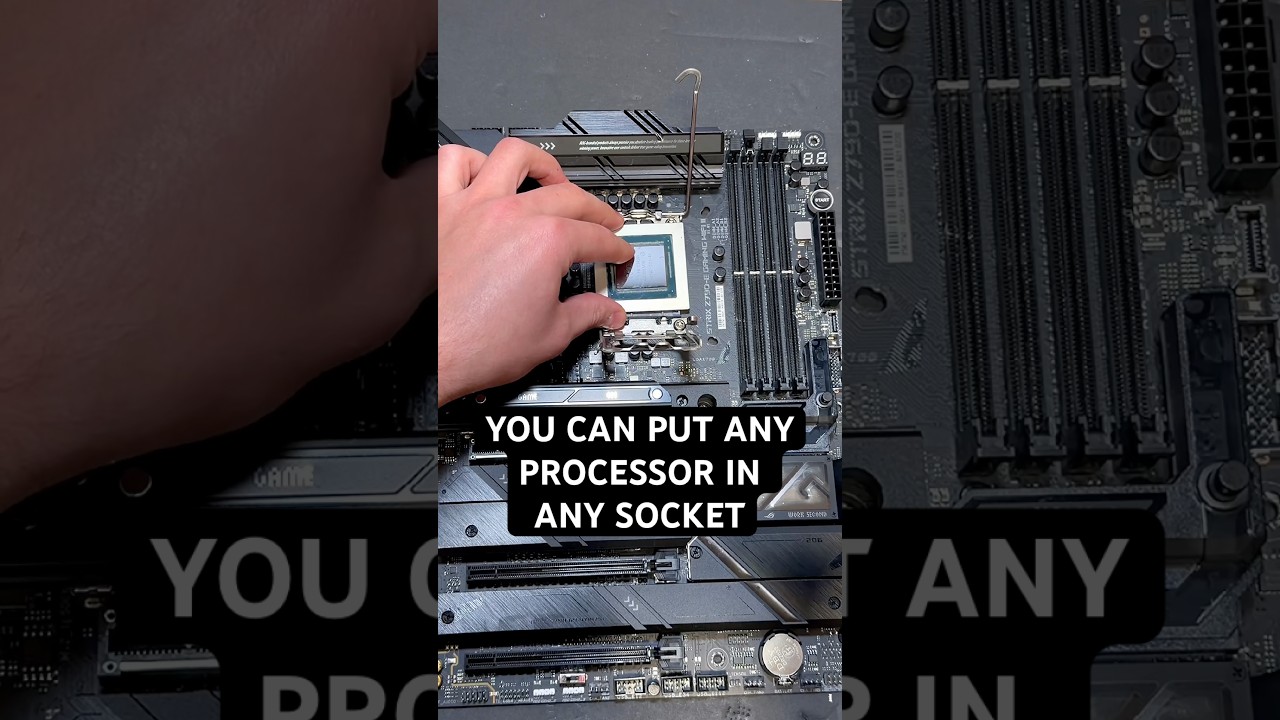 You can put any processor in any socket