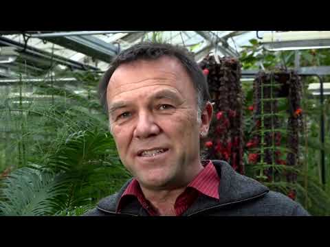 Wölfe o  Grenzen UPDATE 2025 erweitert