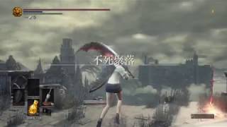 [問題] 黑魂3 高空掉落無傷問題