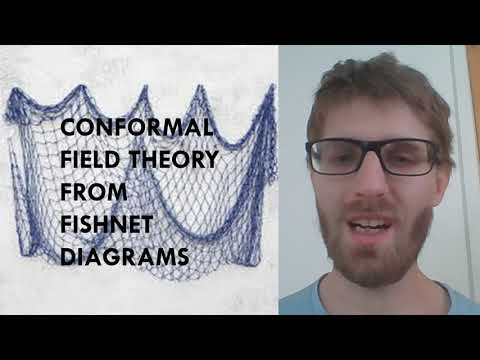 Fishnet theories with Dr. Andrea Cavaglià