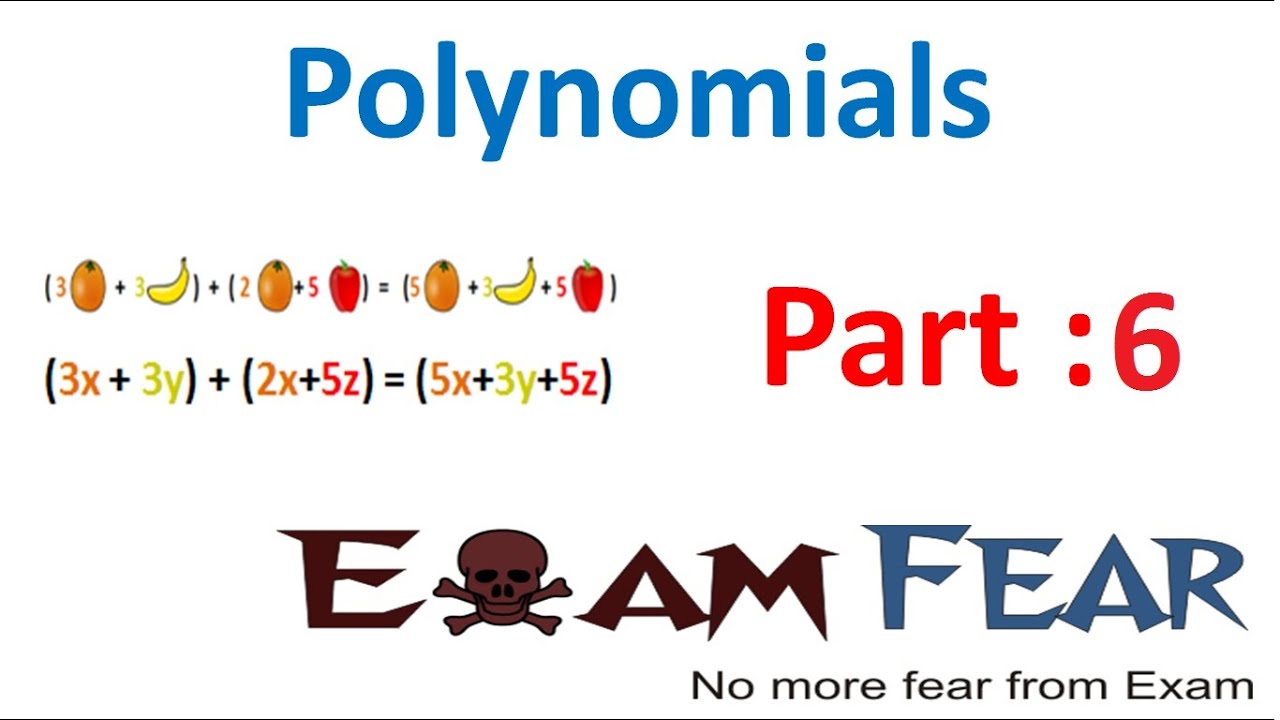 Maths Polynomials part 6 (Degree of Zero polynomial) CBSE class 9 Mathematics IX