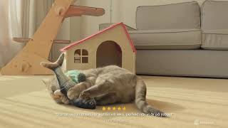 Kattleksak - Sprattlande fisk