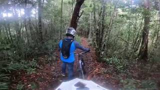 Mount Jerai Downhill - Endless Madness Descends (Part 1)