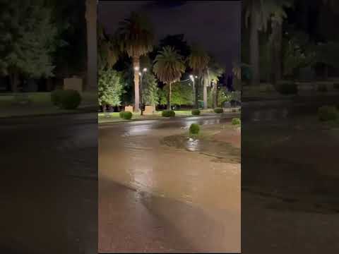Intensa tormenta del 21/02/26, zona del Parque General San Martin de la Ciudad de Mendoza!!!... ⛈️