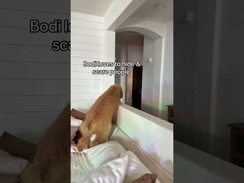 Phillies land All-Star closer Jhoan Duran ahead of MLB trade deadline 👀🔥 #jhoanduran