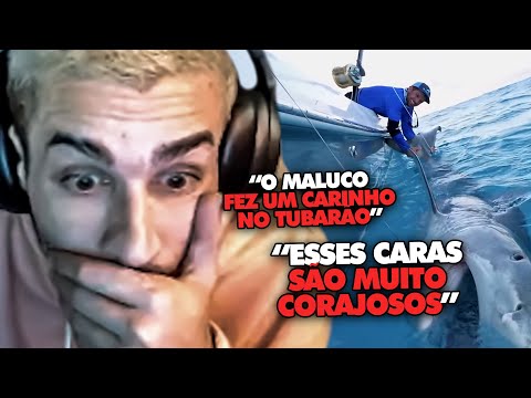 STAG REAGE: PESCANDO UM TUBARÃO TIGRE GIGANTE DE 500KG NAS BAHAMAS! | Cortes do Estagiário