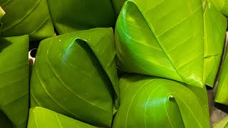 Download lagu Traditional dessert from North Sumatera Indonesia - so good ‼️ #shorts mp3 Download lagu Traditional dessert from North Sumatera Indonesia - so good ‼️ #shorts mp3