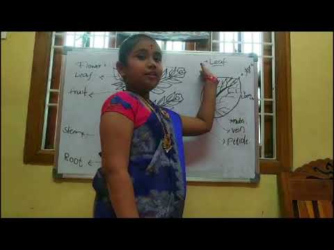 Pranathi as bioscience teacher