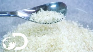 SUGAR | How It