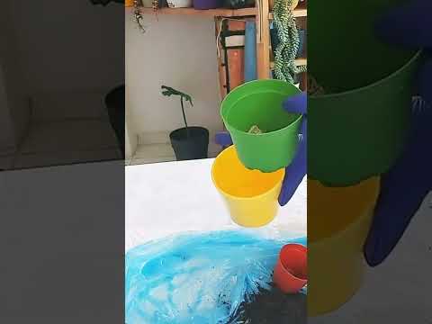 Drenajı olan bir saksıya ekeceğim #maymunah #flowers #cactus #çiçek #çiçekbakimi #çiçekbakımı #çiçek