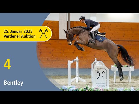 No. 4 Bentley by Baloutaire PS - Comte | Verden Auction Online - Sporthorses - January, 25th