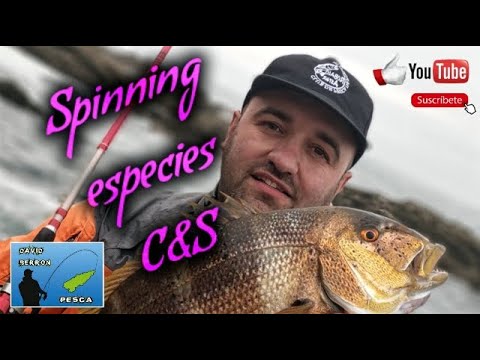 Spinning en Asturias, pesca con amigos distintas especies