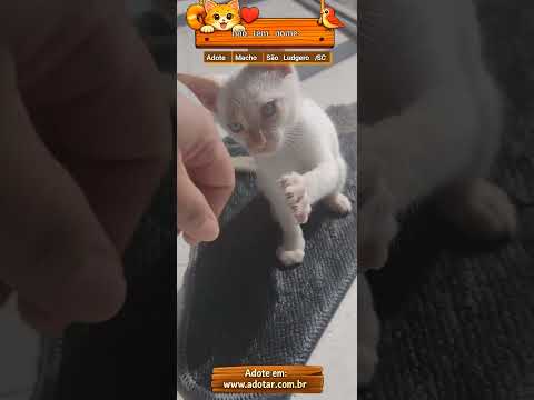 Vídeo de não tem nome 