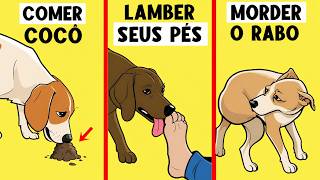 Por Que Seu Cachorro Faz Isso! 🔥15 Comportamentos de Cão Explicados!