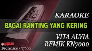 Download lagu BAGAI RANTING YANG KERING REMIK - VITA ALVIA || KARAOKE KN7000 mp3