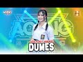 Cantika Davinca Ft Ageng Music Dumes Official Live Music
