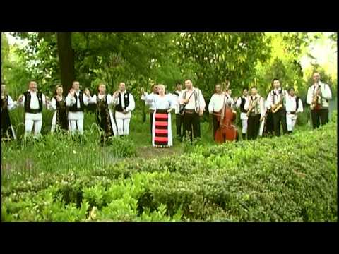 FLORICA TOMOIAGA SI COSMIN MARTA S-OR GRAIT MANDRILE-N SURA