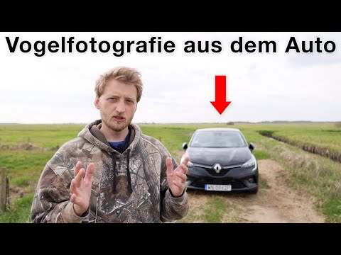 Vogelfotografie aus dem Auto - DAS solltest du beachten (Tipps und Tricks)