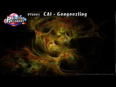 Primitive Records ~ PTV001 - CAI - Gongoozling