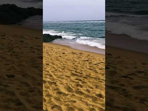 Evening at Wellawatta beach #speedsong #song #dance #music #cover #love #travel