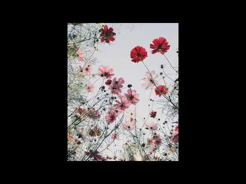 FREE___Fall ___ALDN x GLAIVE x HYPERPOP Type Beat [prod. Joe Tedesco]