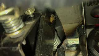 Subaru Outback 2002, 5 speed cruise control fix