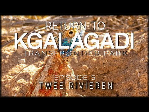 RETURN TO THE KGALAGADI - Episode 5 - Back to Twee Rivieren