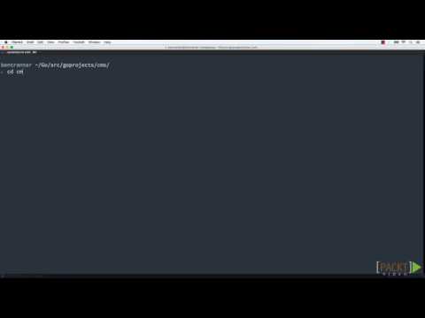 Go Projects Dynamic Content with Go | packtpub com