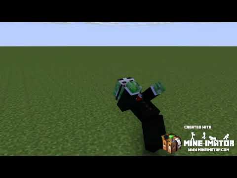 wither skeleton vs hacker