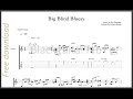 Guitar Classic: Big Blind Bluesy (Pat Donohue)