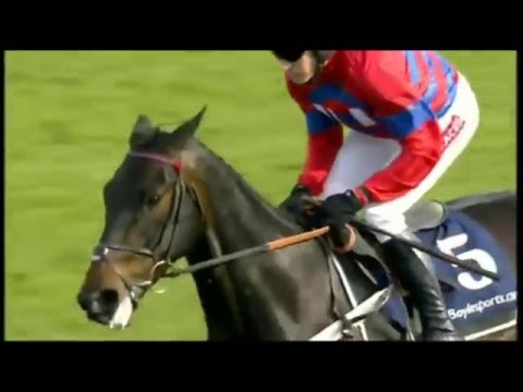 A tribute to Sprinter Sacre {It's not over}