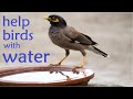 Pakshiyon Ko Pani Pilane Dana Dalne Ke Fayde How To Make A Bird Water Feeder Give Water To Birds