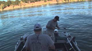 preview picture of video 'Sac River Salmon fishing with Protect Your Hunt!'