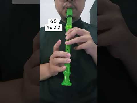 CHEI SUDAHLAH - ANGGA DERMAWAN | TUTORIAL RECORDER TIKTOK VIRAL