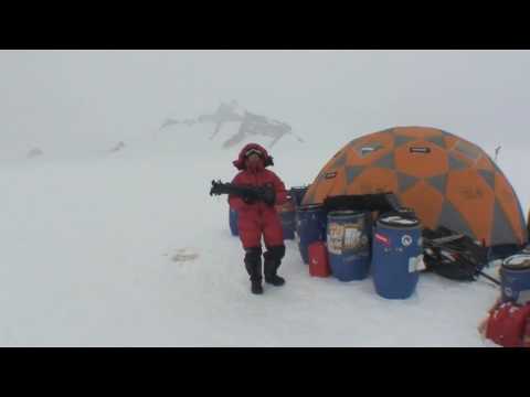 Holtanna Antarctique 2