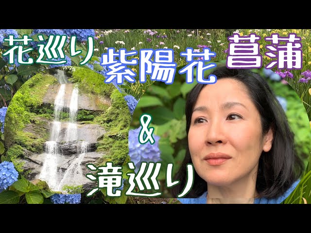 Video de pronunciación de Jiyou en Inglés