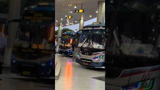 Download lagu Story'WA bus SUGENG RAHAYU mboiss 30 detik mp3 Download lagu Story'WA bus SUGENG RAHAYU mboiss 30 detik mp3