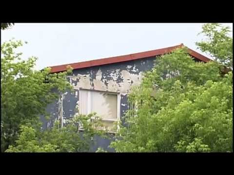 Vergeben: Planungsleistungen für Lindenschule - ELSTERWELLE