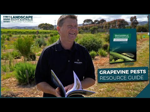 Learn more about beneficial insects with our new guidebook