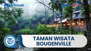 Menikmati Kesejukan Udara dengan Pepohonan Rindang di Taman Wisata Bougenville Bandung