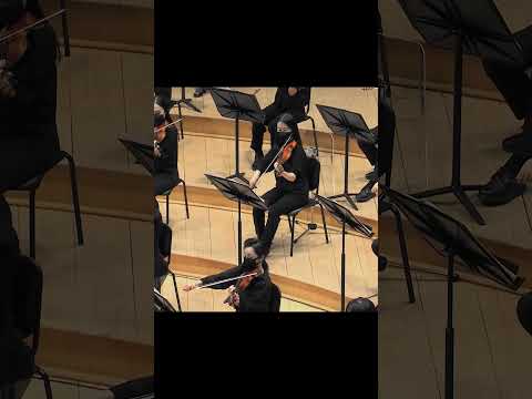 Tchaikovsky, Symphony No  5 in E minor, Op  64   19of48