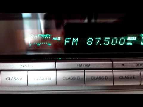 Fm dx, Arab, 87.50