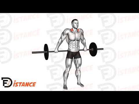 Exercice Shrugs prise large à la barre