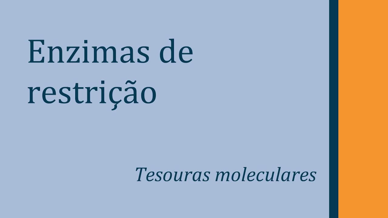 Enzimas de restrição do DNA