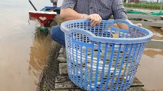 Releasing life is a great virtue, I dedicate all the boundless blessings...