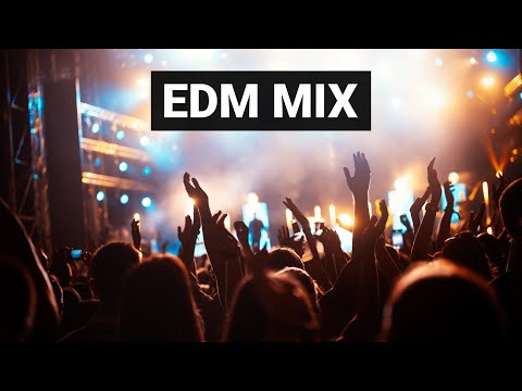 SHAPESHIFTERS David Guetta ZEDD Skylar Grey AVICII Nicky Romero KASKADE Showtek FOXES